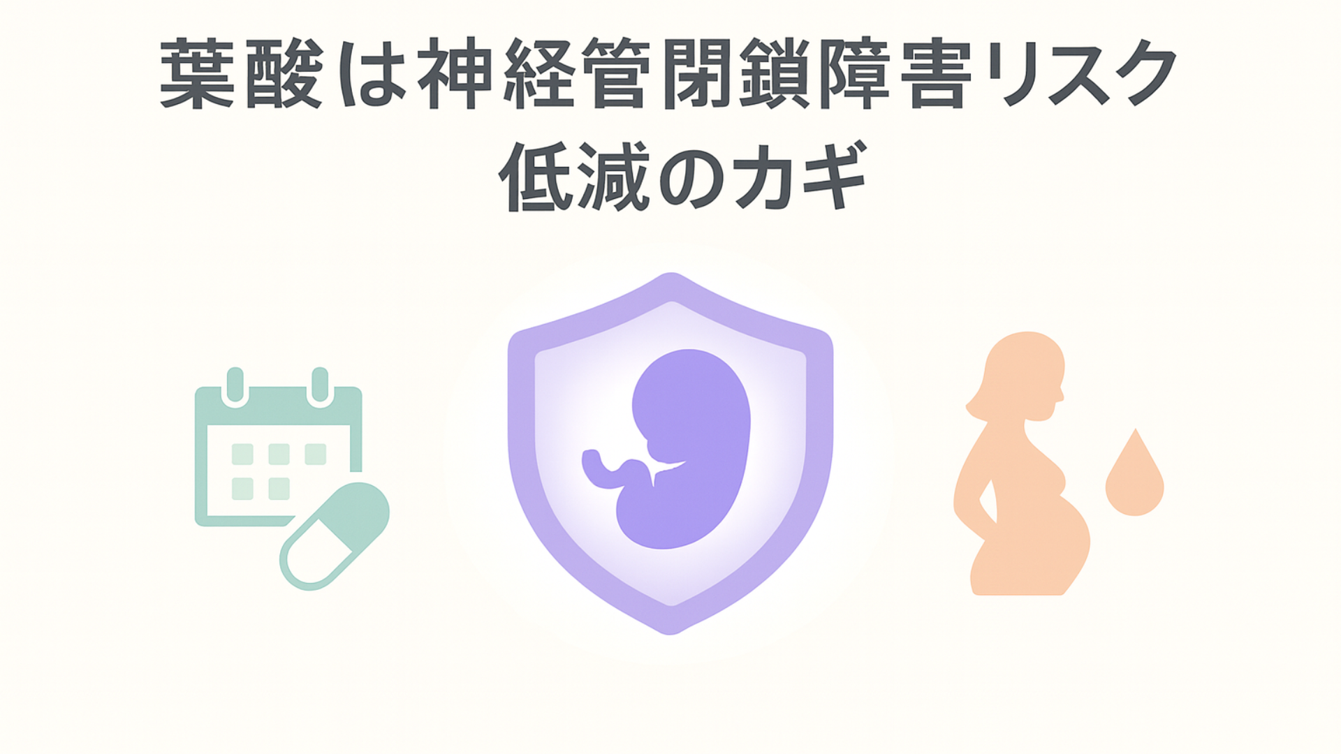 葉酸が神経管閉鎖障害リスク低減に重要であることを示すイメージ。中央に胎児を守る盾アイコン