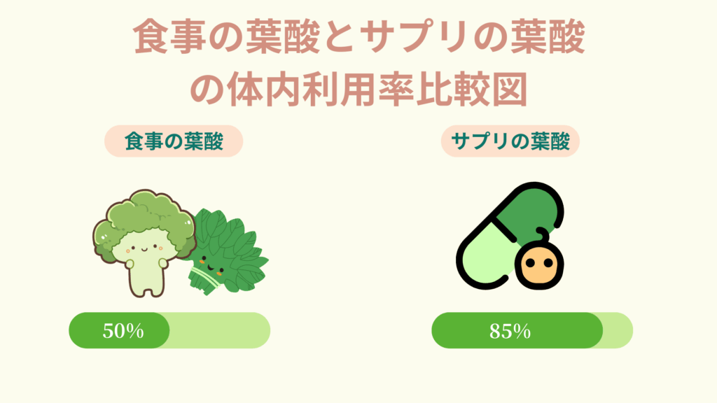 食事由来の葉酸とサプリの葉酸の体内利用率を比較した図。食事は約50％、サプリは約85％の目安（ブロッコリーとカプセルのイラスト）