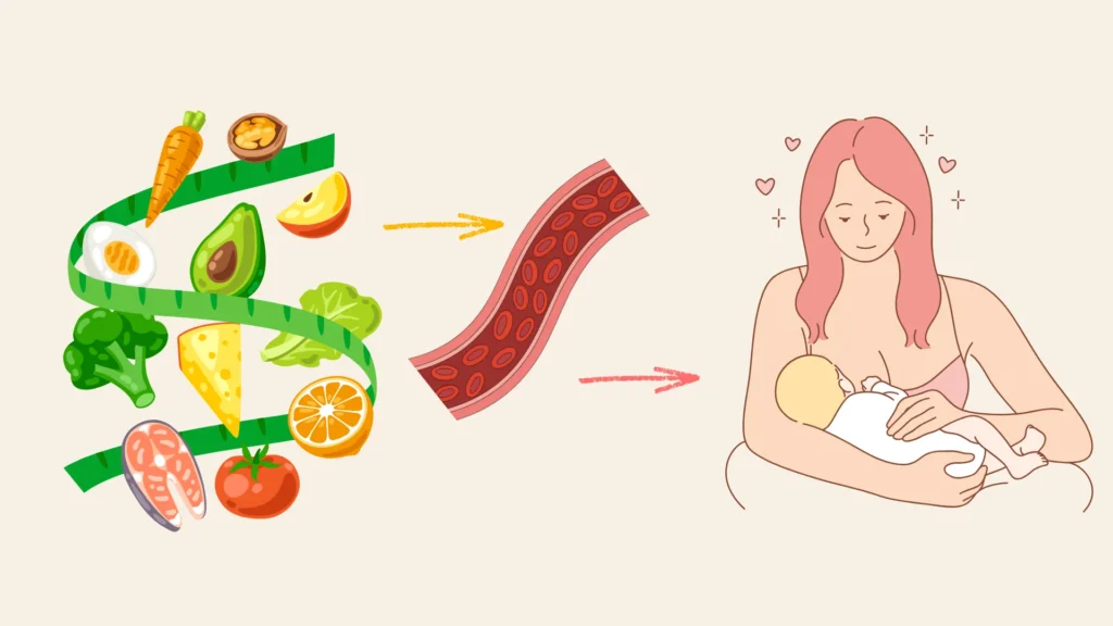 食事から摂った栄養が血液を通じて母乳になり、赤ちゃんへ届けられる流れを示すイラスト。左に野菜・果物・魚などの食材、中央に血管、右に授乳中の母親と赤ちゃんが描かれている。