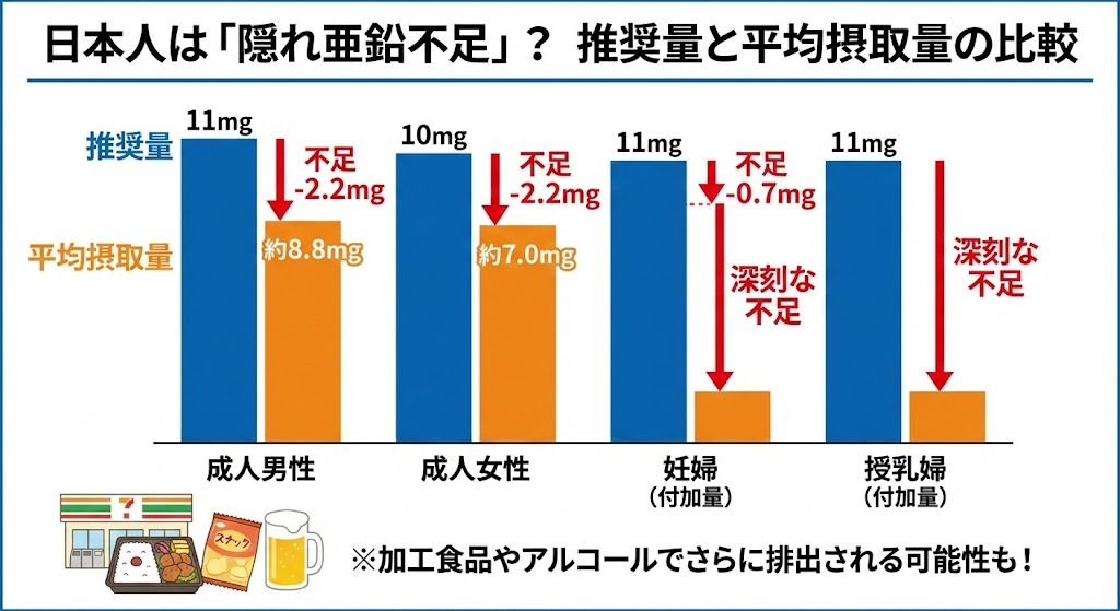日本人の亜鉛推奨量と平均摂取量を比較した棒グラフ。「隠れ亜鉛不足」を示し、成人男性で-2.2mg、女性で-0.7mgの不足、妊婦・授乳婦では深刻な不足があること、加工食品やアルコールも原因となることを図示。