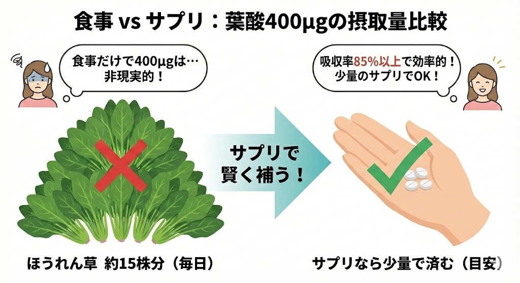 葉酸400µgの摂取量を、食事とサプリで比較した図。食事では毎日ほうれん草約15株分が必要だが、サプリなら少量で効率よく補えることを示している。