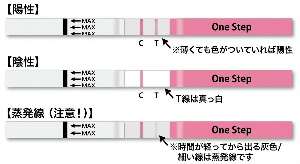 ワンステップ妊娠検査薬の判定結果見分け方イラスト。陽性（ピンクの線）、陰性（真っ白）、蒸発線（灰色の細い線）の比較。