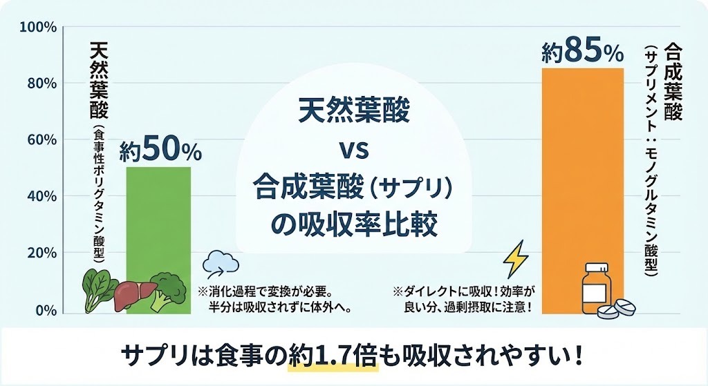 天然葉酸（食事由来）と合成葉酸（サプリメント）の吸収率を比較したグラフ。食事性葉酸は約50％、サプリの合成葉酸は約85％とされ、サプリは食事の約1.7倍吸収されやすいことを示している。