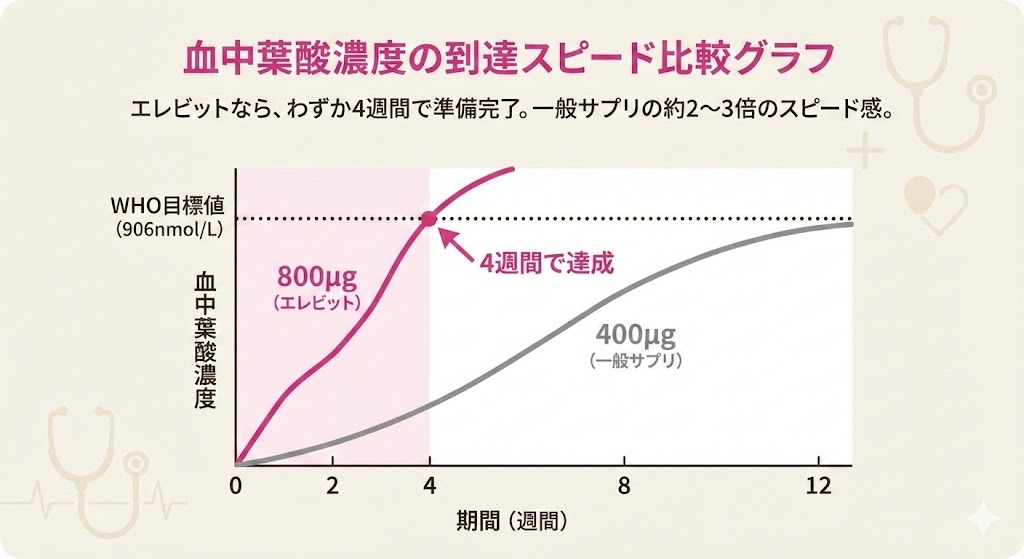 葉酸800µg摂取(エレビット)と400µg摂取(一般的なサプリ)における、血中葉酸濃度の到達スピードを比較したグラフ。800µgは約4週間でWHO目標値に達することを示している