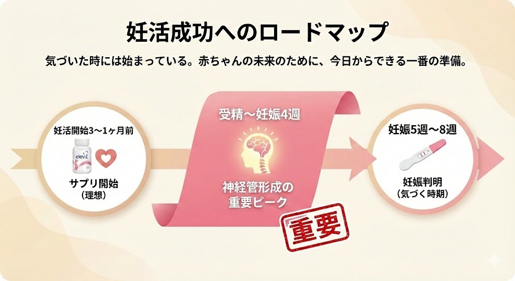 妊活開始から妊娠判明までの流れを示したロードマップ図。妊娠初期4週頃に神経管形成の重要な時期があるため、妊娠前からの葉酸摂取が重要であることを示している