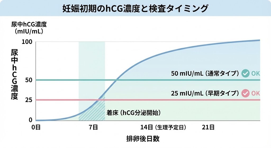 妊娠初期における尿中hCG濃度の推移と妊娠検査薬の検出感度を示したグラフ。排卵後から生理予定日以降までの目安を解説。