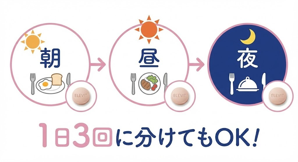 エレビットを朝・昼・夜の1日3回に分けて1粒ずつ飲むスケジュールを示すイラスト