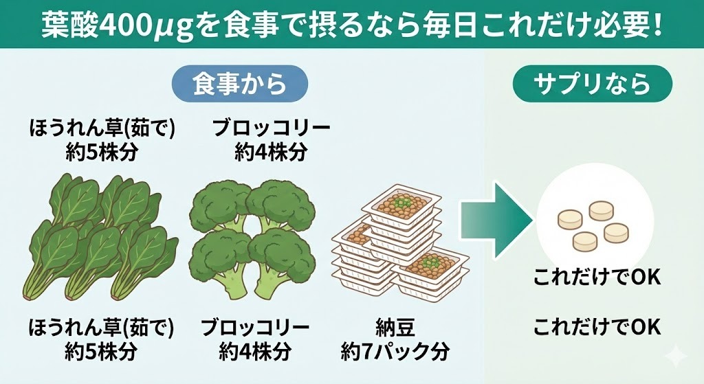 葉酸400μgを食事で摂取する場合の必要量とサプリメントの比較図