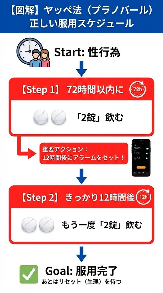 プラノバールを使った緊急避妊法（ヤッペ法）の正しいスケジュール図解。性行為から72時間以内に2錠服用し、その12時間後にさらに2錠服用する流れと、アラーム設定の重要性を示した縦長のインフォグラフィック。