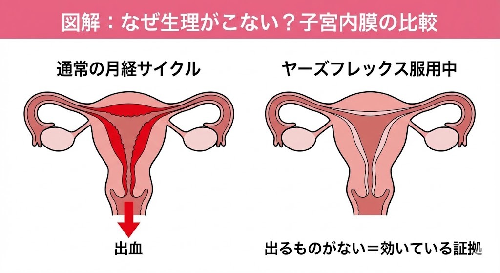 通常の月経サイクルとヤーズフレックス服用中の子宮内膜の厚さを比較したイラスト図。服用中は内膜が薄く保たれるため出血しない（生理がこない）様子が描かれている。