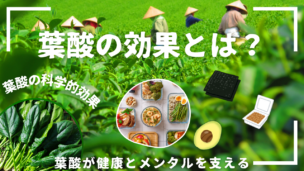 葉酸の効果とは？妊活・健康・美容・メンタルまで徹底解説！