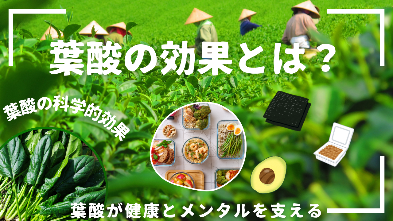 葉酸の効果とは?妊活・健康・美容・メンタルまで徹底解説!