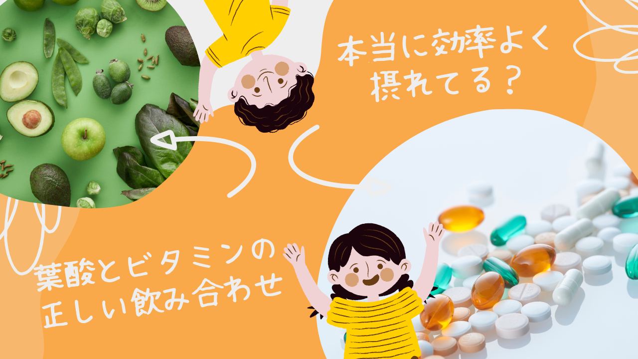 葉酸(ビタミンB9)とビタミンB12は同時に摂取すべき?効果的な飲み合わせ・順番を徹底解説
