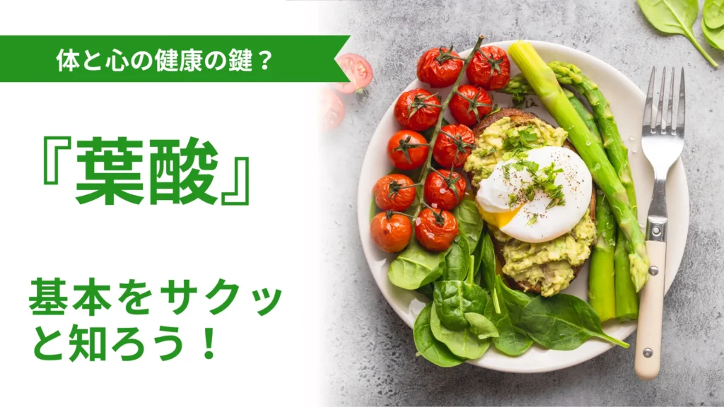 葉酸とは？（ビタミンB9の基礎知識）