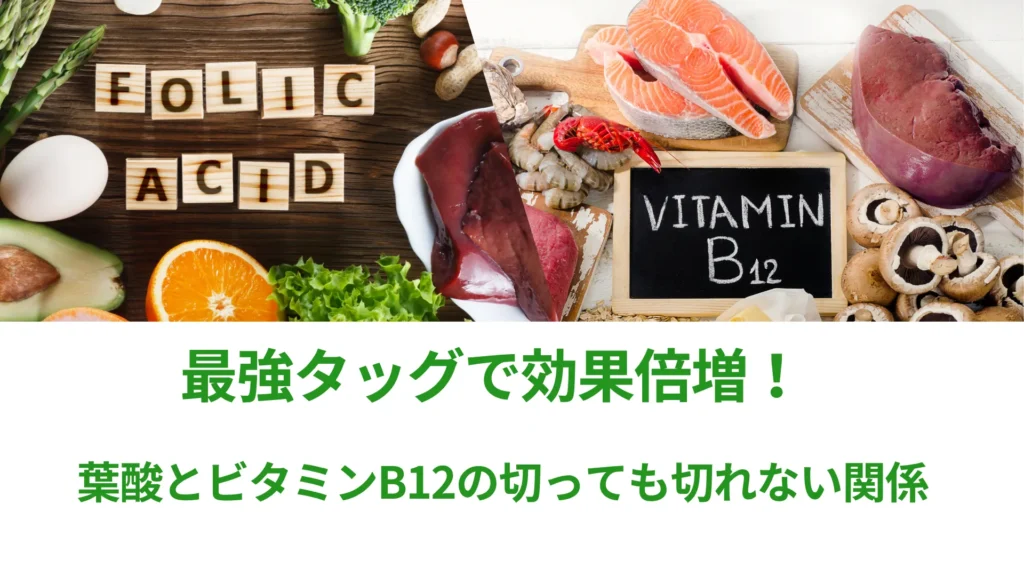葉酸とビタミンB12の深い関係性