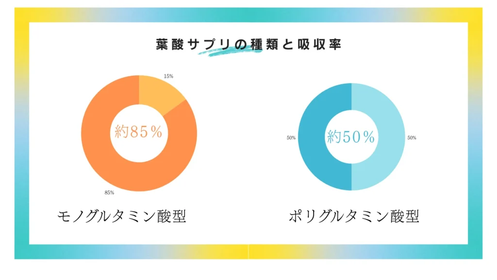 葉酸サプリの種類と吸収率：モノグルタミン酸型 vs. ポリグルタミン酸型