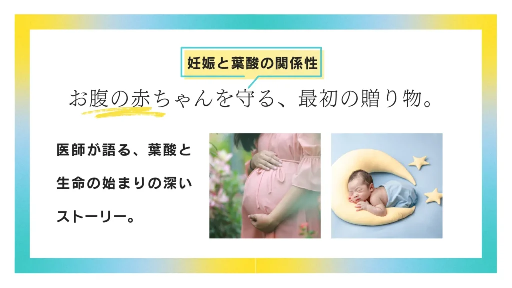 妊娠と葉酸の関係性