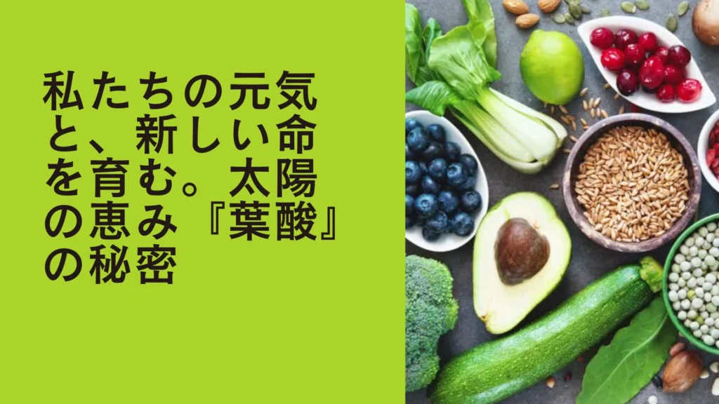 葉酸の秘密