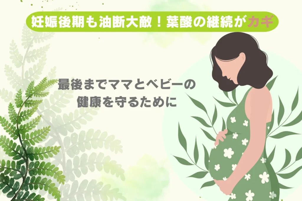 妊娠後期のお腹を優しく支える手元のアップ。妊娠後期の葉酸摂取の重要性を示唆している。