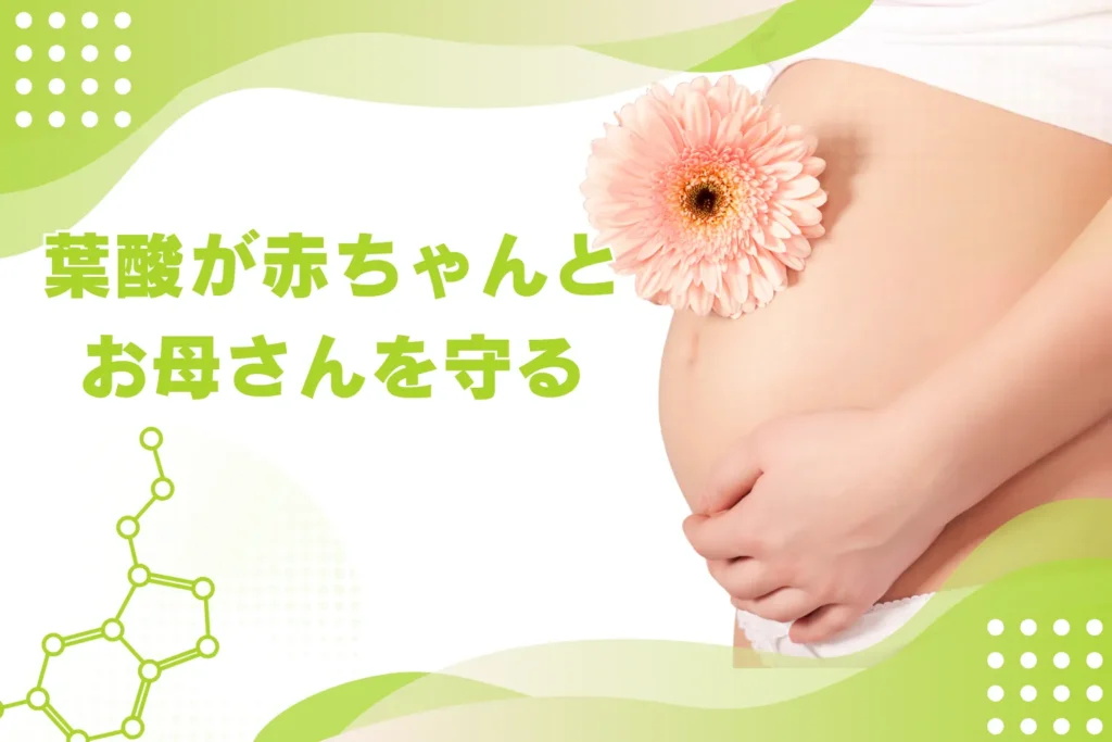 葉酸の役割と妊娠への影響を説明するイラスト