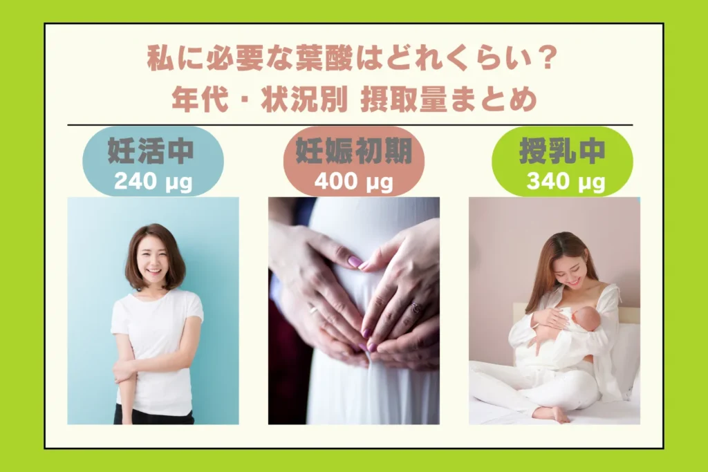 年代・状況別の葉酸推奨摂取量をまとめたインフォグラフィック