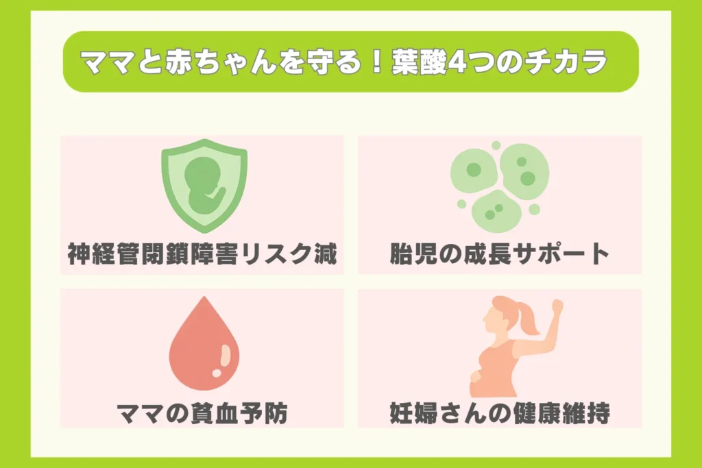 葉酸が妊活・妊娠中に必要な4つの理由(胎児の神経管閉鎖障害リスク低減、胎児の成長サポート、妊婦の貧血予防、妊婦の健康維持)をアイコンで示したインフォグラフィック
