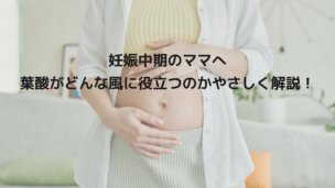 「妊娠中期に葉酸サプリは必要？」迷うママに知ってほしい栄養のこと