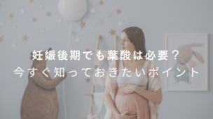 妊娠後期の葉酸サプリ、飲み続けるべき？ママと赤ちゃんのための選び方