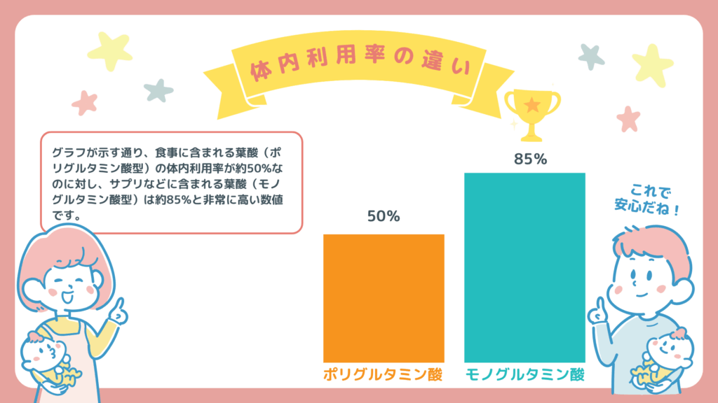 葉酸の種類による体内利用率の違い