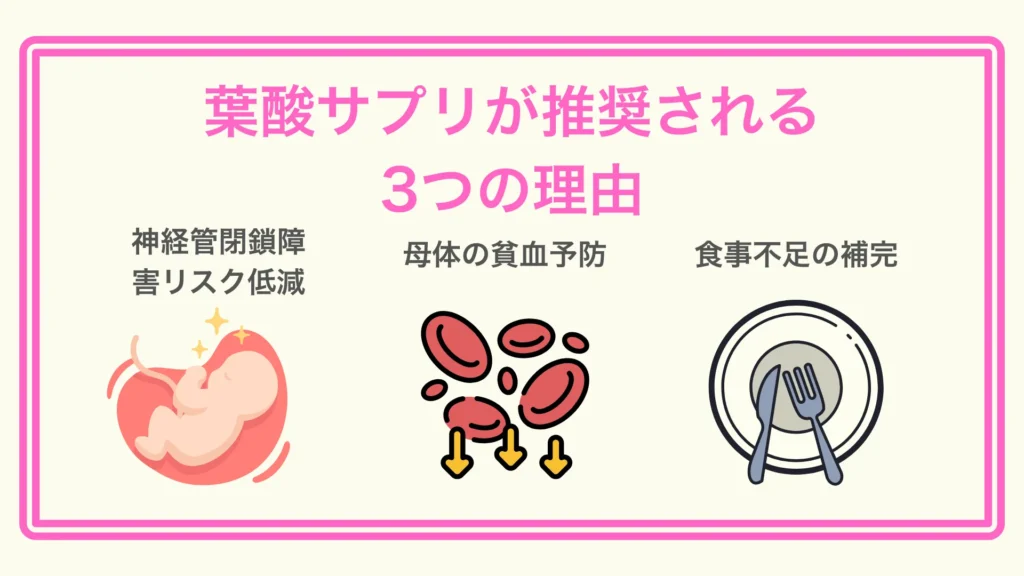 葉酸サプリが推奨される3つの医学的理由を示すアイコン付きインフォグラフィック