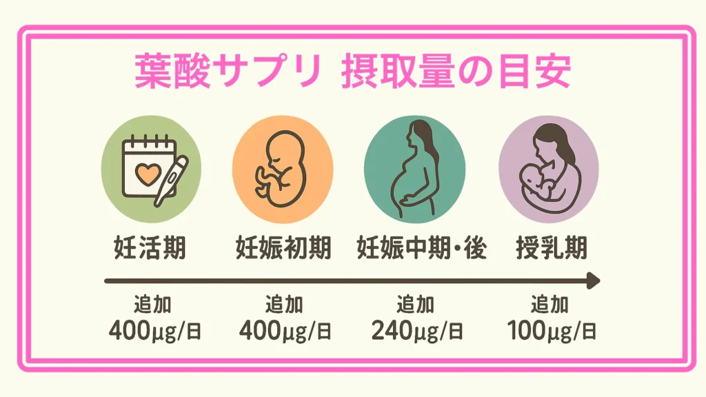 妊活期から授乳期までの葉酸サプリ推奨量を時期別に示すステップタイムライン図