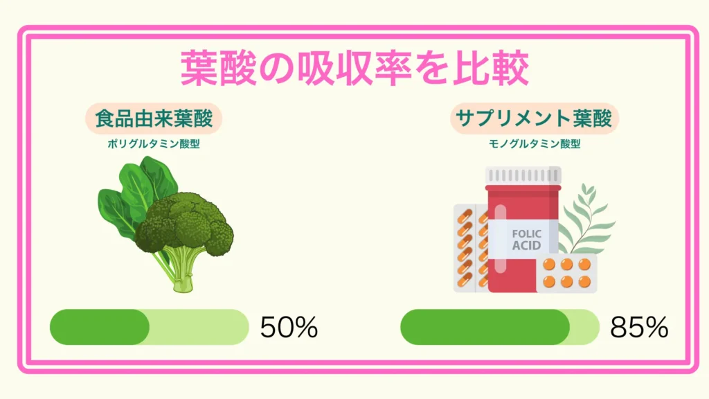 食品由来の葉酸とサプリ由来葉酸の吸収率をバーグラフで比較した図(ポリグルタミン酸型約50%、モノグルタミン酸型約85%)