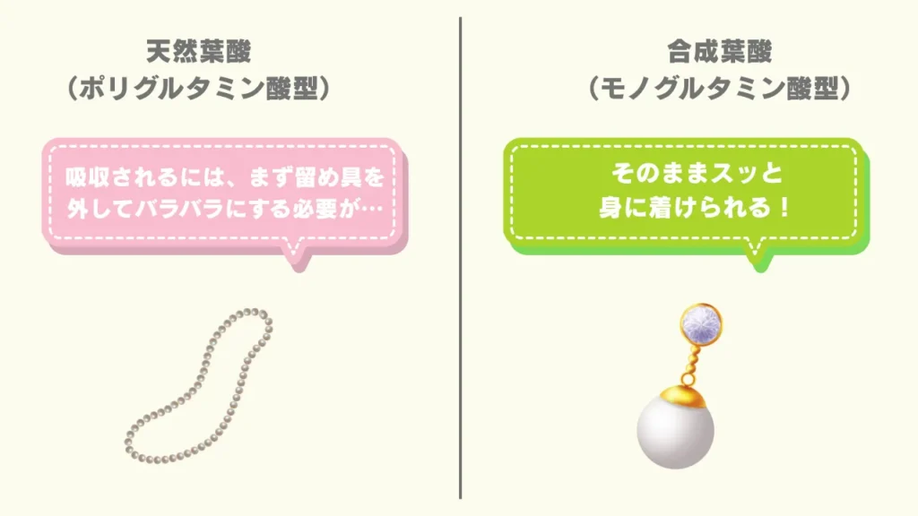 天然葉酸と合成葉酸の吸収率の違いイメージ画像