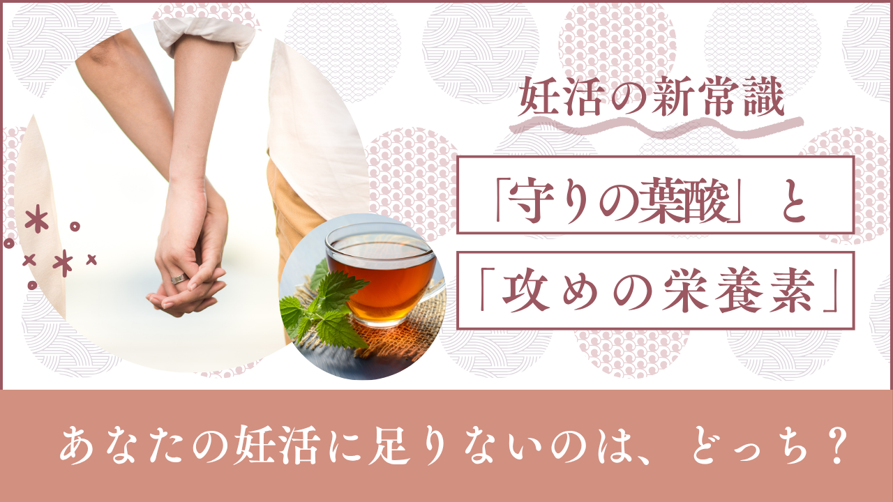 【妊活】葉酸にプラスしたい栄養素とは?妊娠に向けた体づくりで注目される成分を解説葉酸