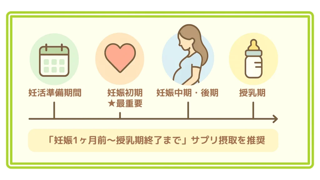 「カレンダー・心臓・妊婦・哺乳瓶アイコンで妊活準備〜授乳期を並べた横タイムライン。『妊娠1ヶ月前〜授乳期終了まで推奨』と強調」
